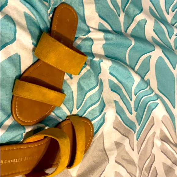 Size 6 Charles Albert sandals - Picture 3 of 3